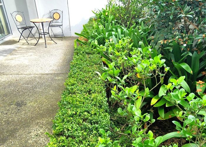  at 2H/6 Piwakawaka Street, Eden Terrace, Auckland City, Auckland