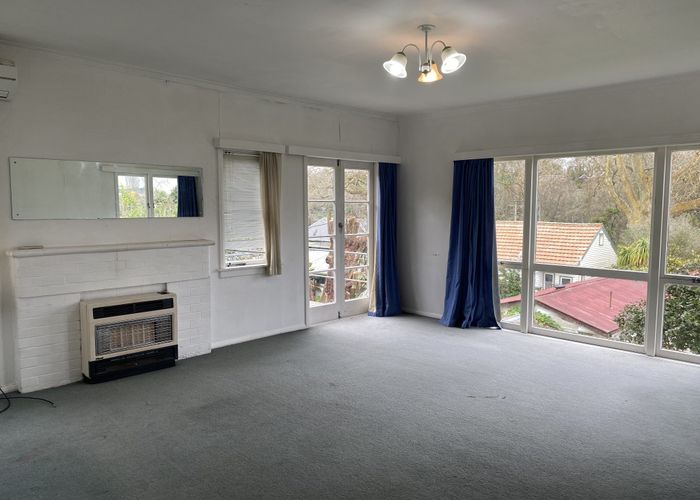  at 20 Hillsborough Terrace, Hamilton City Central, Hamilton, Waikato