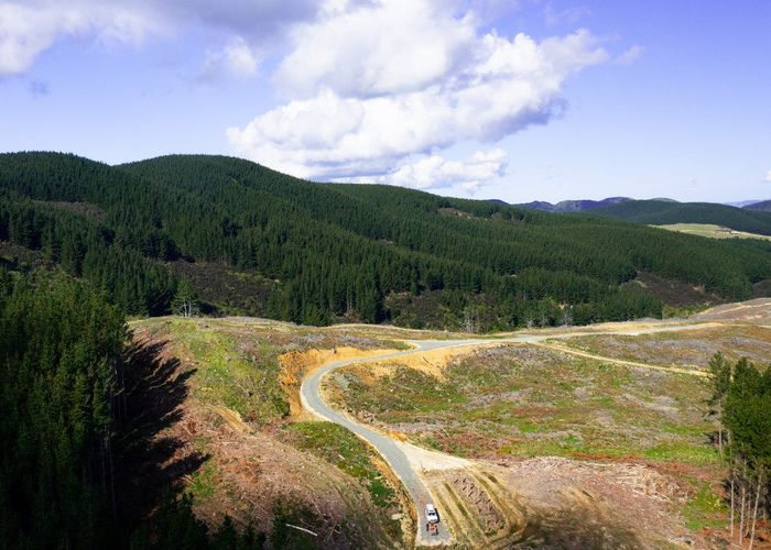  at Cranco Forest, Dannevirke, Tararua, Manawatu / Whanganui