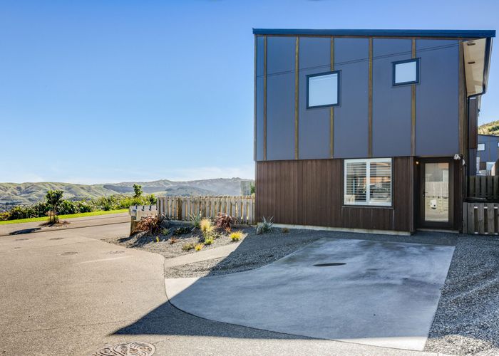  at 38 Astelia Way, Woodridge, Wellington