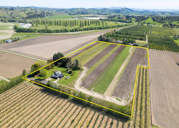  at 1376 Matawai Road, Ormond, Gisborne, Gisborne