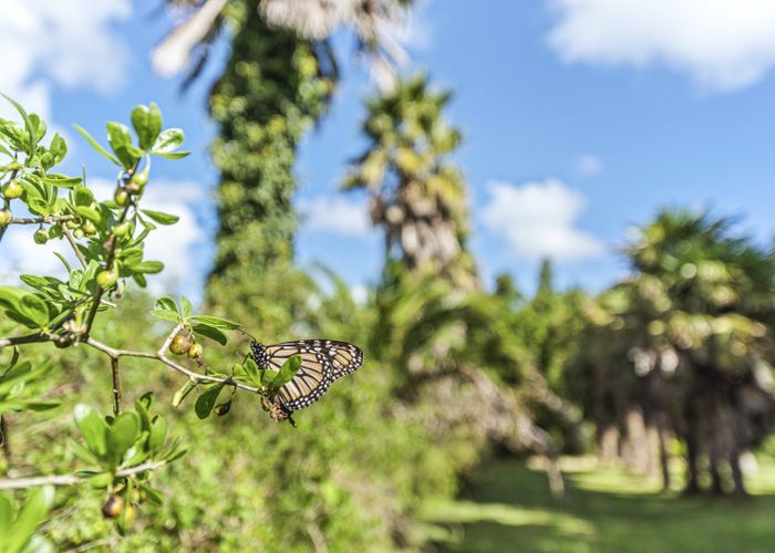  at 6388A South Road, Pungarehu, Opunake