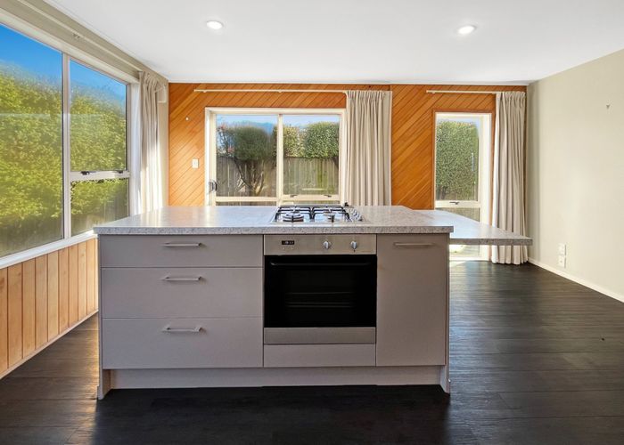  at 17 Sumner St, Spreydon, Christchurch City, Canterbury