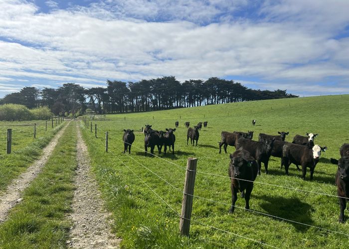  at 0 Post Office Gully Rd, Windsor, Oamaru