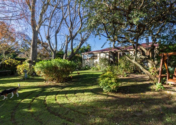  at 82 Avondale Road, Taradale, Napier, Hawke's Bay