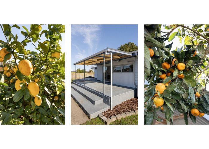  at 62 Arawa Road, Whakatane, Whakatane, Bay Of Plenty