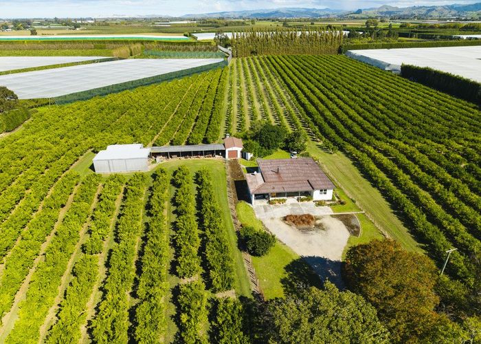  at 75 Brown Road, Ormond, Gisborne, Gisborne