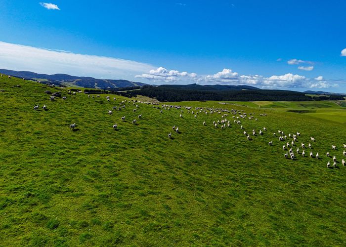 For sale 548 Mitchell Road, Wyndham, Southland, Southland homes.co.nz
