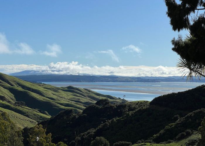  at Whakapirau Road, Kawhia, Otorohanga, Waikato