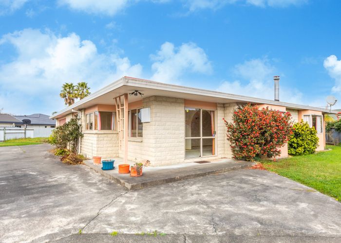  at 99 Wharerangi Road, Greenmeadows, Napier