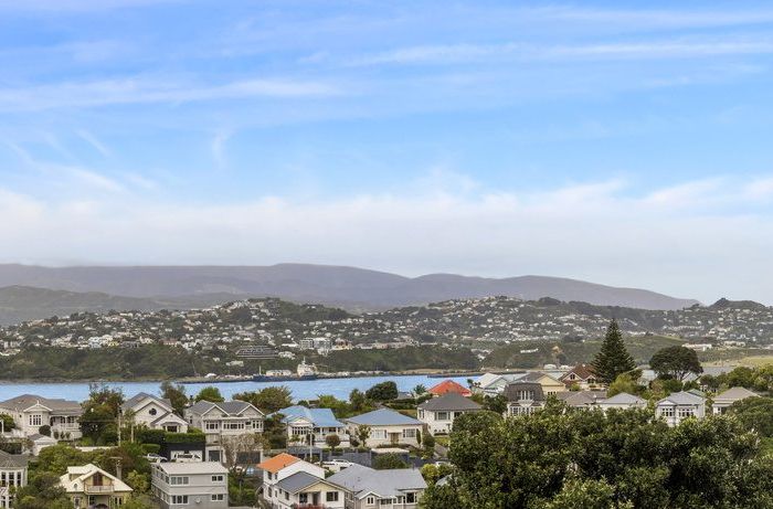  at 89 Rakau Road, Hataitai, Wellington, Wellington