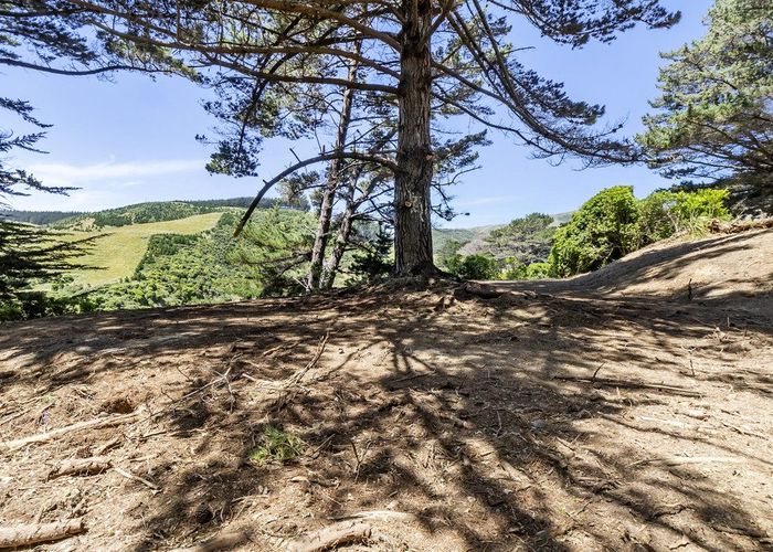  at 851 Makara Road, Makara-Ohariu, Wellington, Wellington