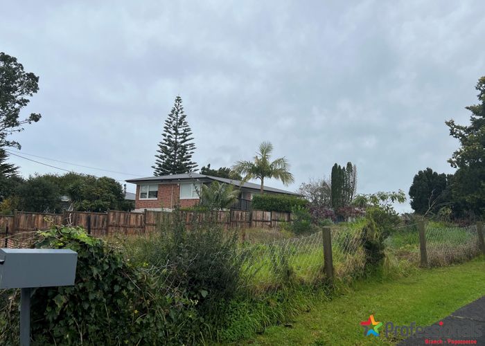  at 98 Hepburn Road, Glendene, Auckland
