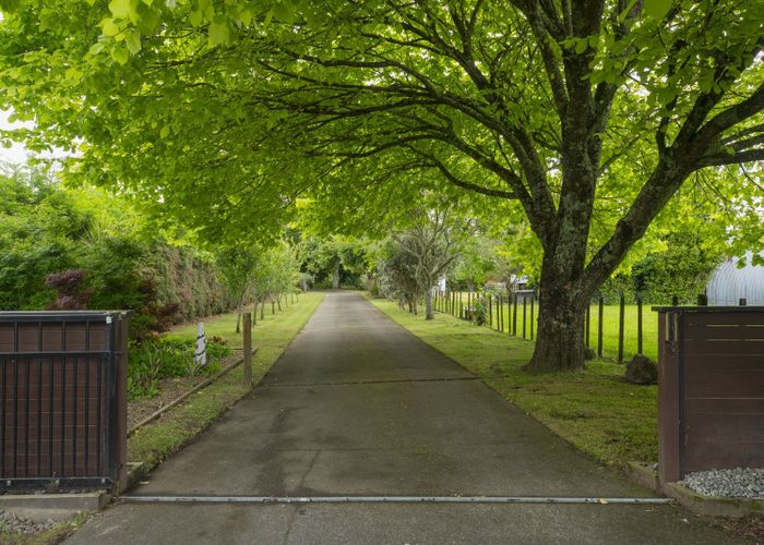  at 86 Castles Road, Tauranga