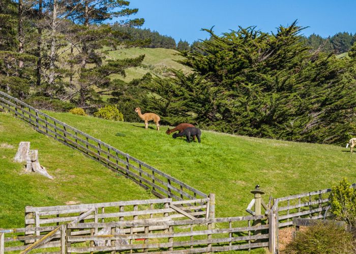  at 997 Ohariu Valley Road, Ohariu, Wellington, Wellington