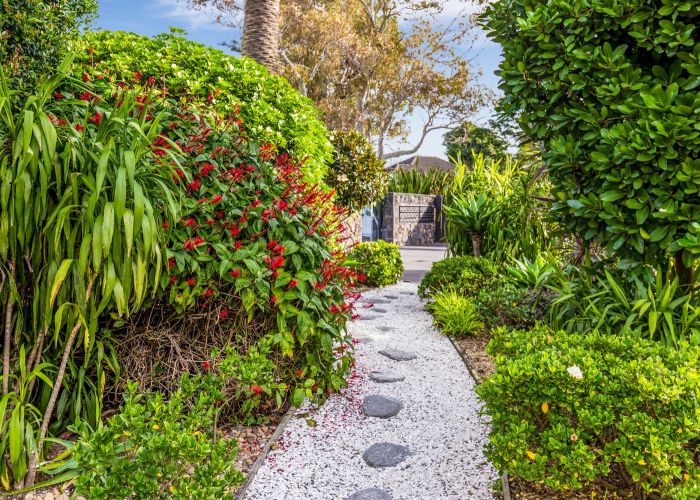  at 20/24 Norrie Avenue, Mount Albert, Auckland