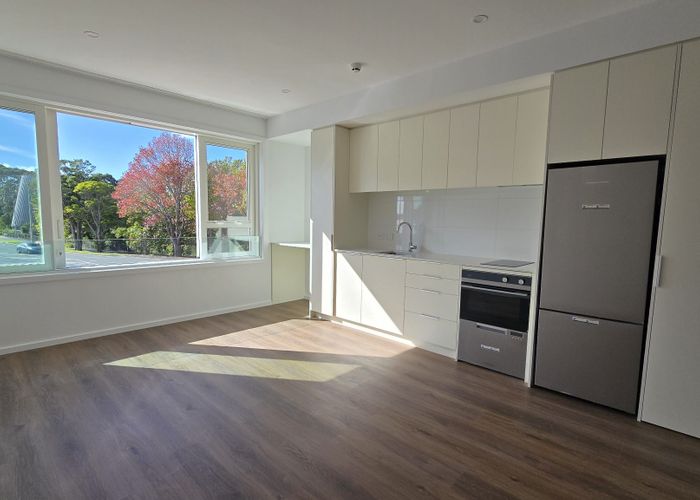  at 110/2a Oakley Ave, Waterview, Auckland City, Auckland