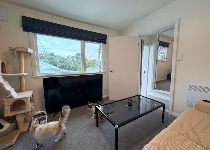  at 8C Alameda Terrace, Aro Valley, Wellington, Wellington