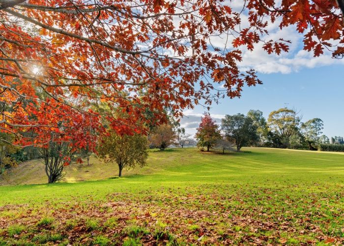  at 139E SNODGRASS ROAD, Western Bay Of Plenty