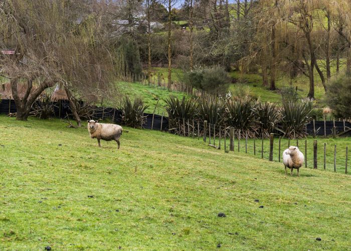  at 964 Churchill Road, Tuakau