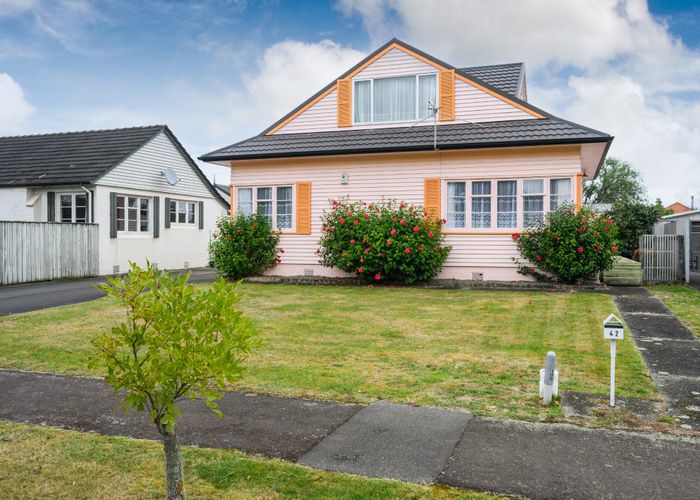  at 42 Ihle Street, Terrace End, Palmerston North, Manawatu / Whanganui