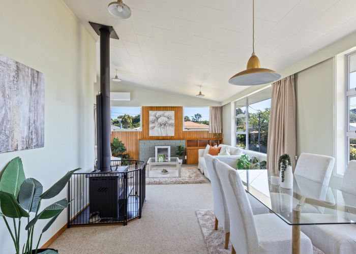  at 29 Awanui Street, Merrilands, New Plymouth