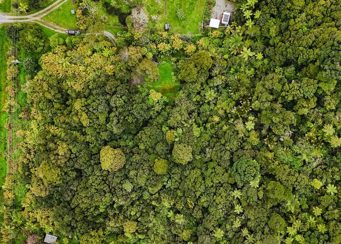  at 3454 State Highway 6, Barrytown, Grey, West Coast