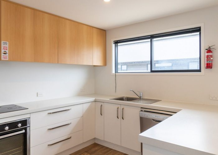  at 217 Teviot Street, Georgetown, Invercargill
