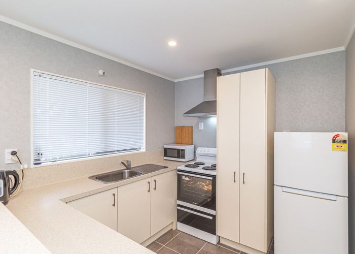  at 163 Bartholomew Road, Levin, Levin