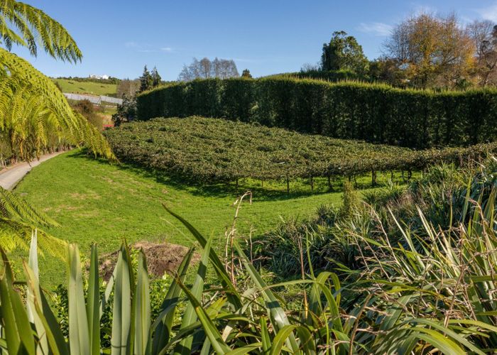  at 394 Old Highway, Whakamarama, Whakamārama