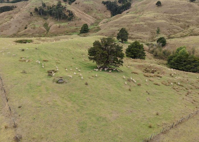  at 290 Hillcrest Road, Waiotira, Whangarei, Northland