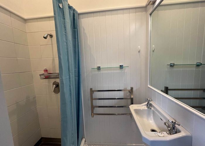  at 122 Williamson Avenue, Grey Lynn, Auckland City, Auckland
