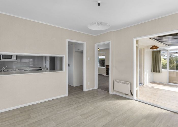  at 19 Donny Avenue, Chartwell, Hamilton