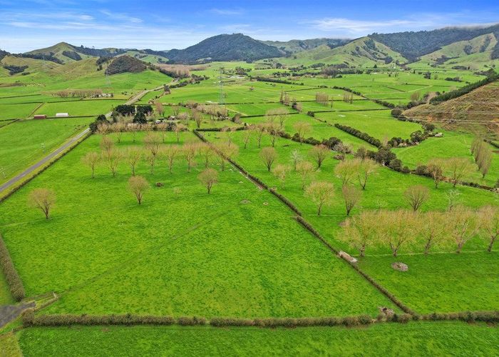  at 56 Mangatea Road Te Hoe, Tahuna, Matamata-Piako, Waikato