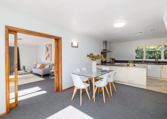  at 51 Hope Street, Shirley, Christchurch