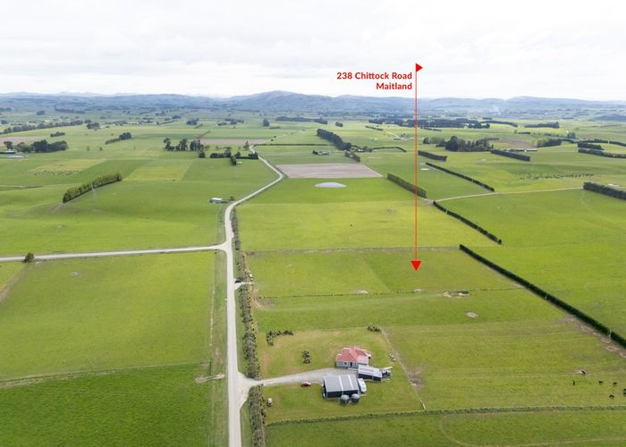 at 238 Chittock Road, MAITLAND, GORE