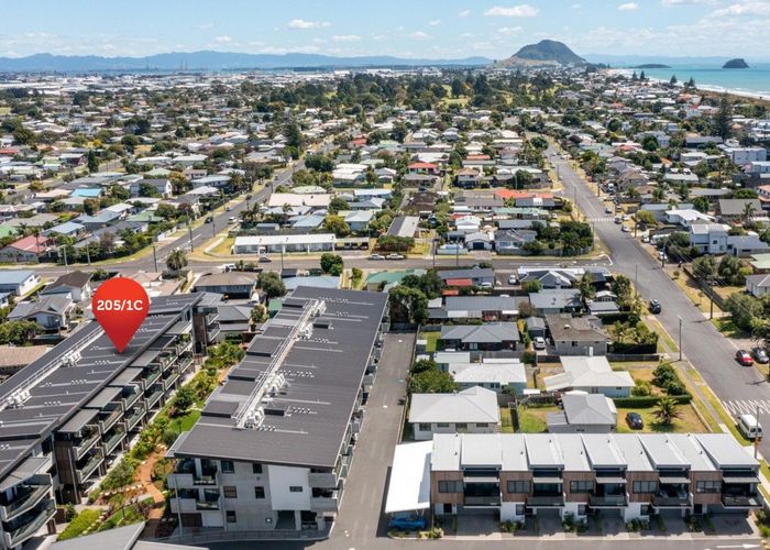  at 205/1C Salt Avenue, Mount Maunganui