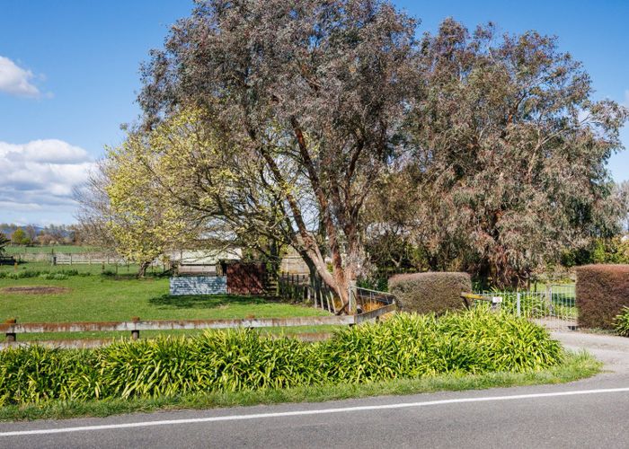  at 136 Newbury Line, Palmerston North