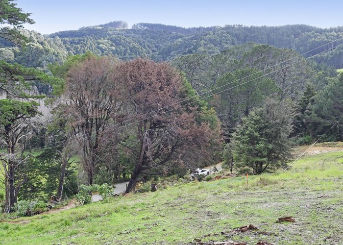  at 99 Birdsall Road, Whangateau