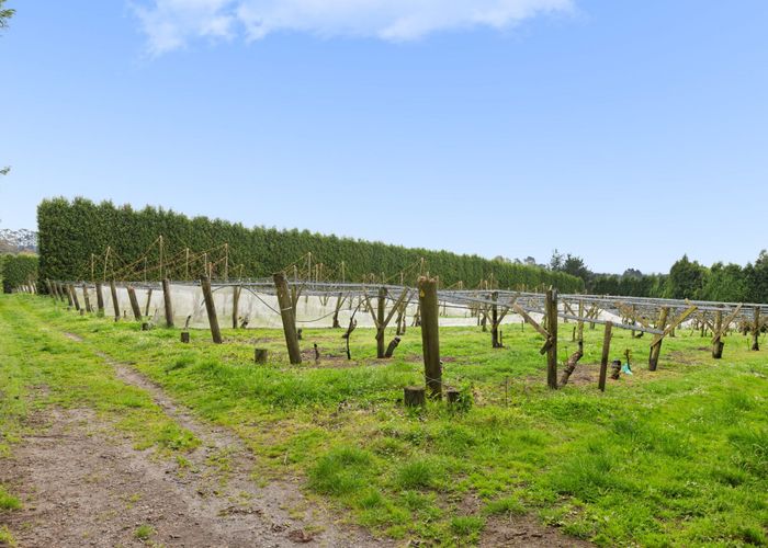  at Lot 3/1010 Te Matai Road, Te Puke, Western Bay Of Plenty, Bay Of Plenty