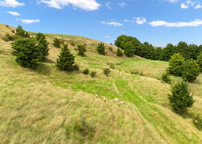  at 0 Hayward Road, Maungakaramea, Whangarei, Northland
