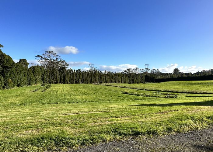  at 169 Waipapa Road, WAIPAPA, KERIKERI