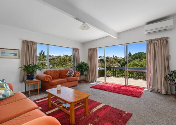  at 49 Maungawhare Place, Otumoetai, Tauranga
