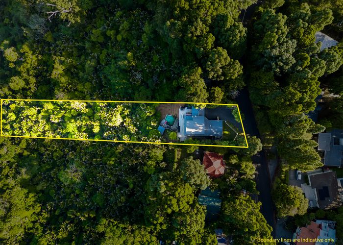  at 14 Tainui Road, Titirangi, Auckland