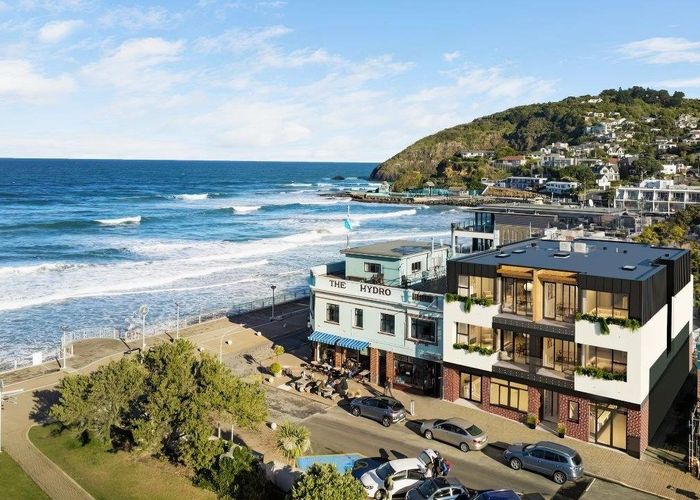  at 3/246 Forbury Road, Saint Clair, Dunedin