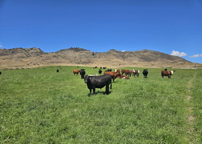  at 580 Crawford Hills Road, Alexandra, Central Otago, Otago