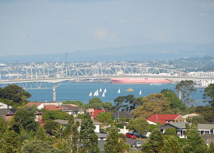  at 50 Balmain Road, Chatswood, Auckland