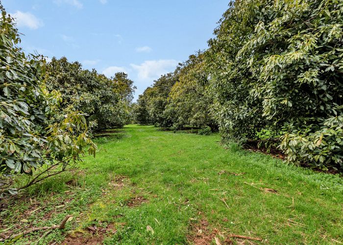For sale Lot 2 & 3/599 Ngunguru Road, Glenbervie, Whangarei
