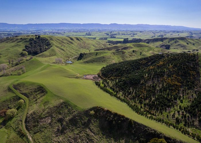  at 597 Weber Road, Dannevirke, Tararua, Manawatu / Whanganui