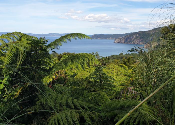  at 492 Tuateawa Road, Coromandel, Thames-Coromandel, Waikato